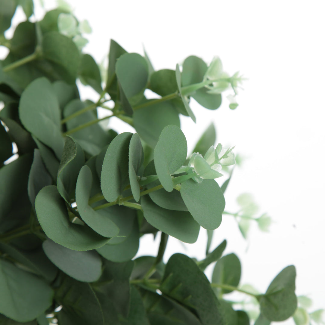 Eucalyptus Bush Spray