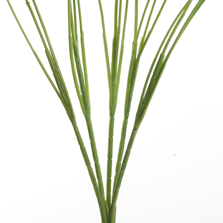 Eucalyptus Bush Spray - Stem details
