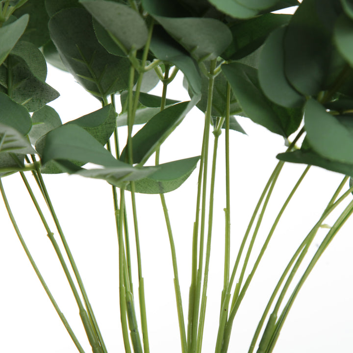 Eucalyptus Bush Spray