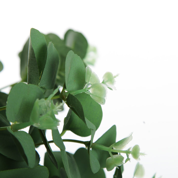 Eucalyptus Bush Spray