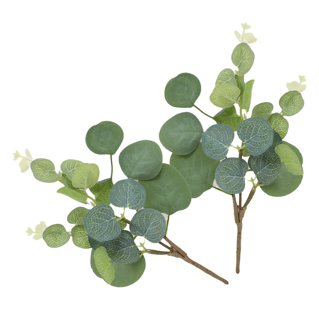 Eucalyptus Round Leaf Pick - Set of 2