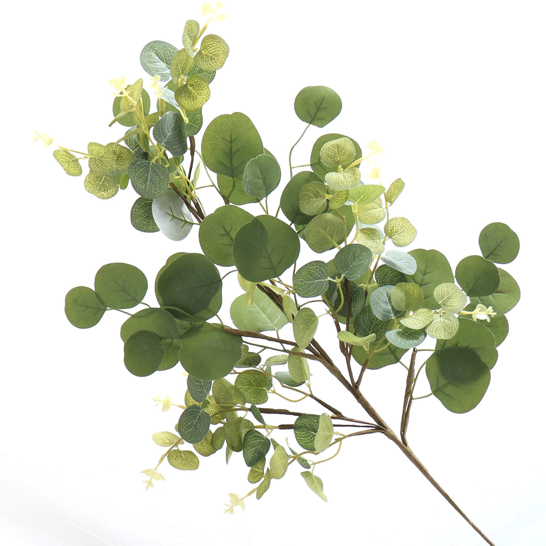 Eucalyptus Round Leaf Spray