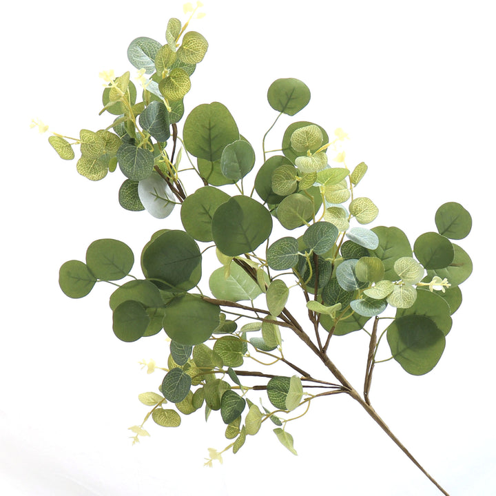 Eucalyptus Round Leaf Spray