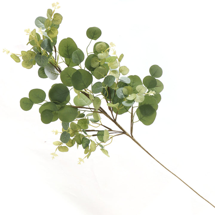 Eucalyptus Round Leaf Spray