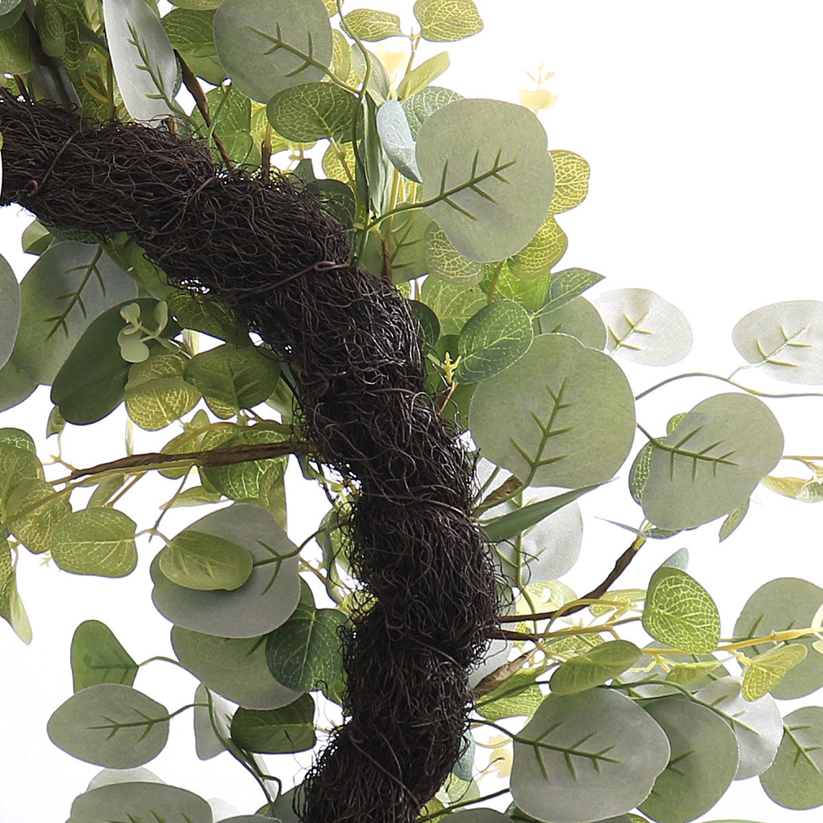 Eucalyptus Round Leaf Wreath