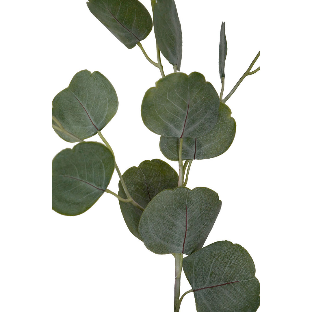 Eucalyptus Spray Real Touch 68cm