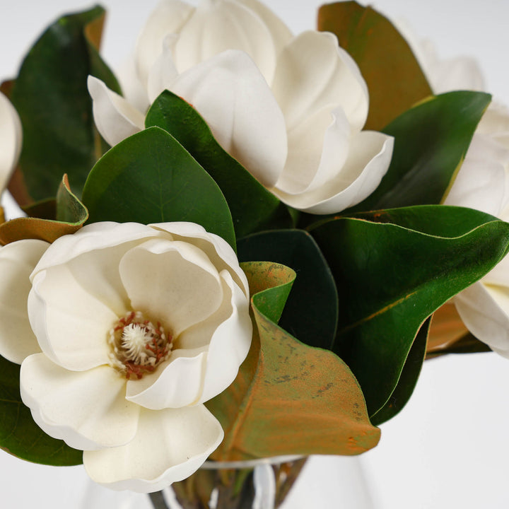 Everlasting Magnolia Serenity