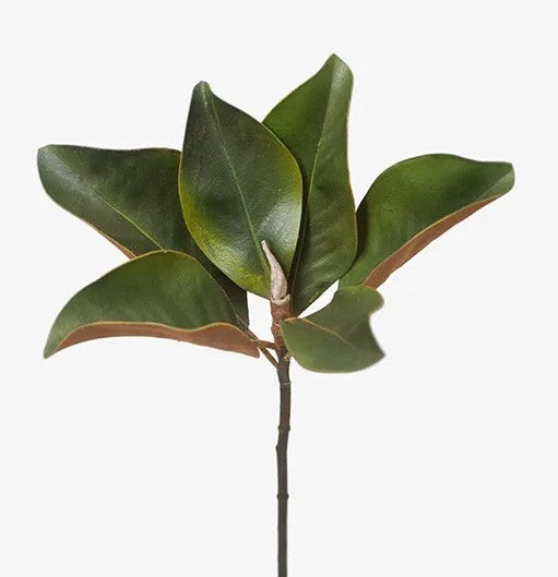 Magnolia Foliage - Green (35cm)