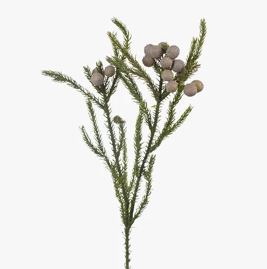 Berzelia Spray - Grey (63cm)
