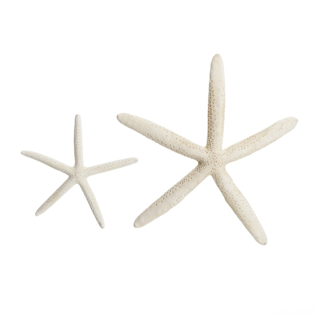 Finger Starfish White