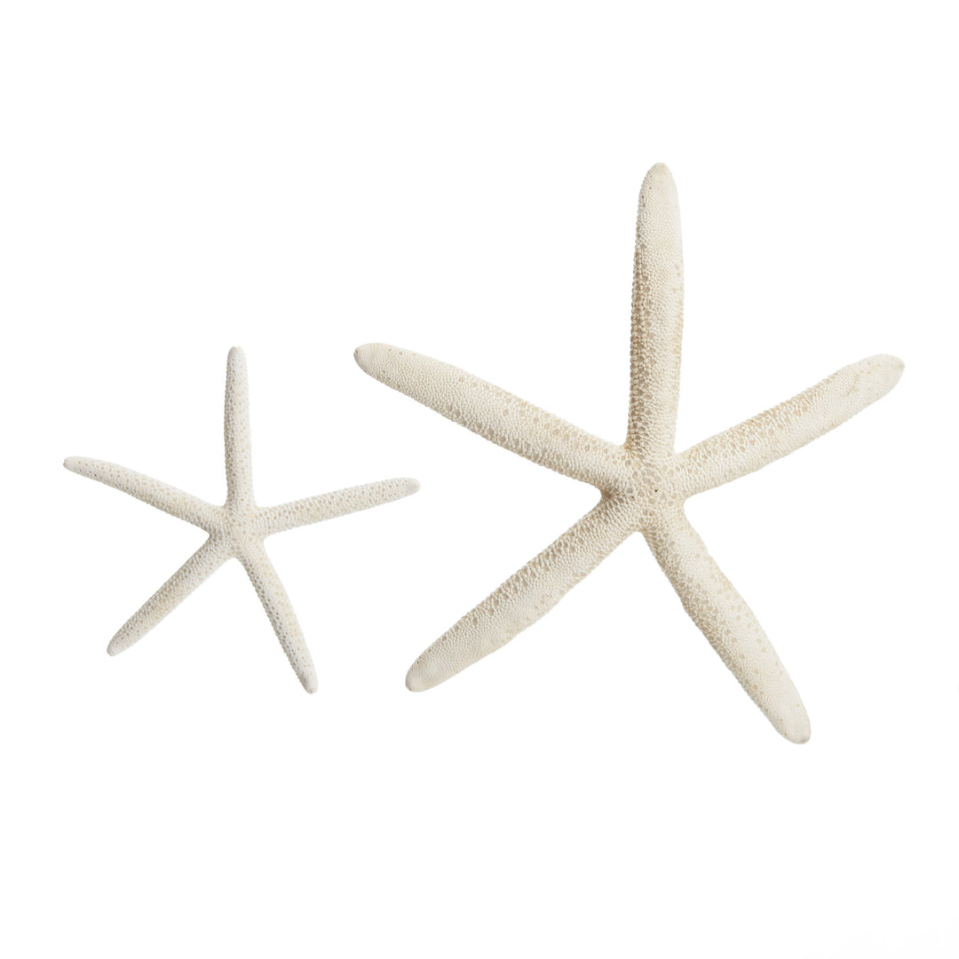 Finger Starfish White Small