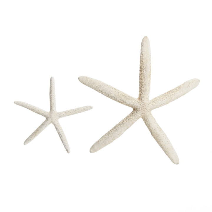 Finger Starfish White Small