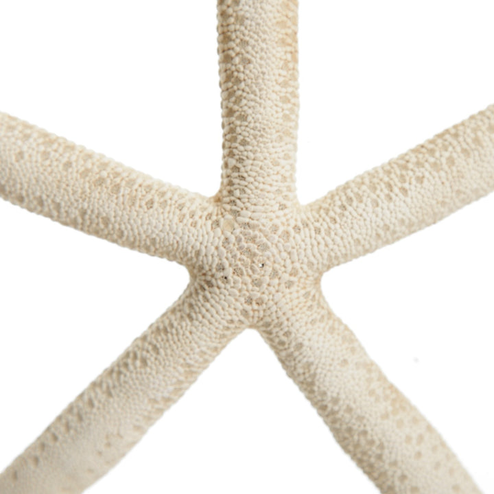 Finger Starfish White