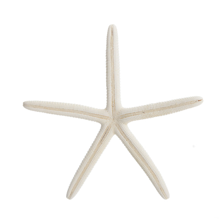 Finger Starfish White Small