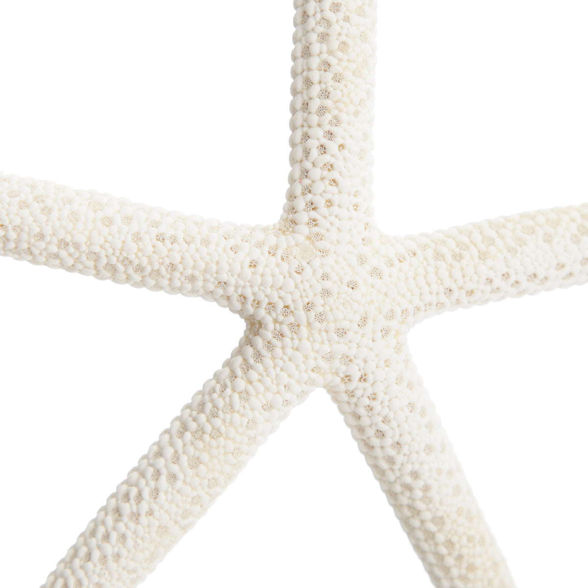 Finger Starfish White Small