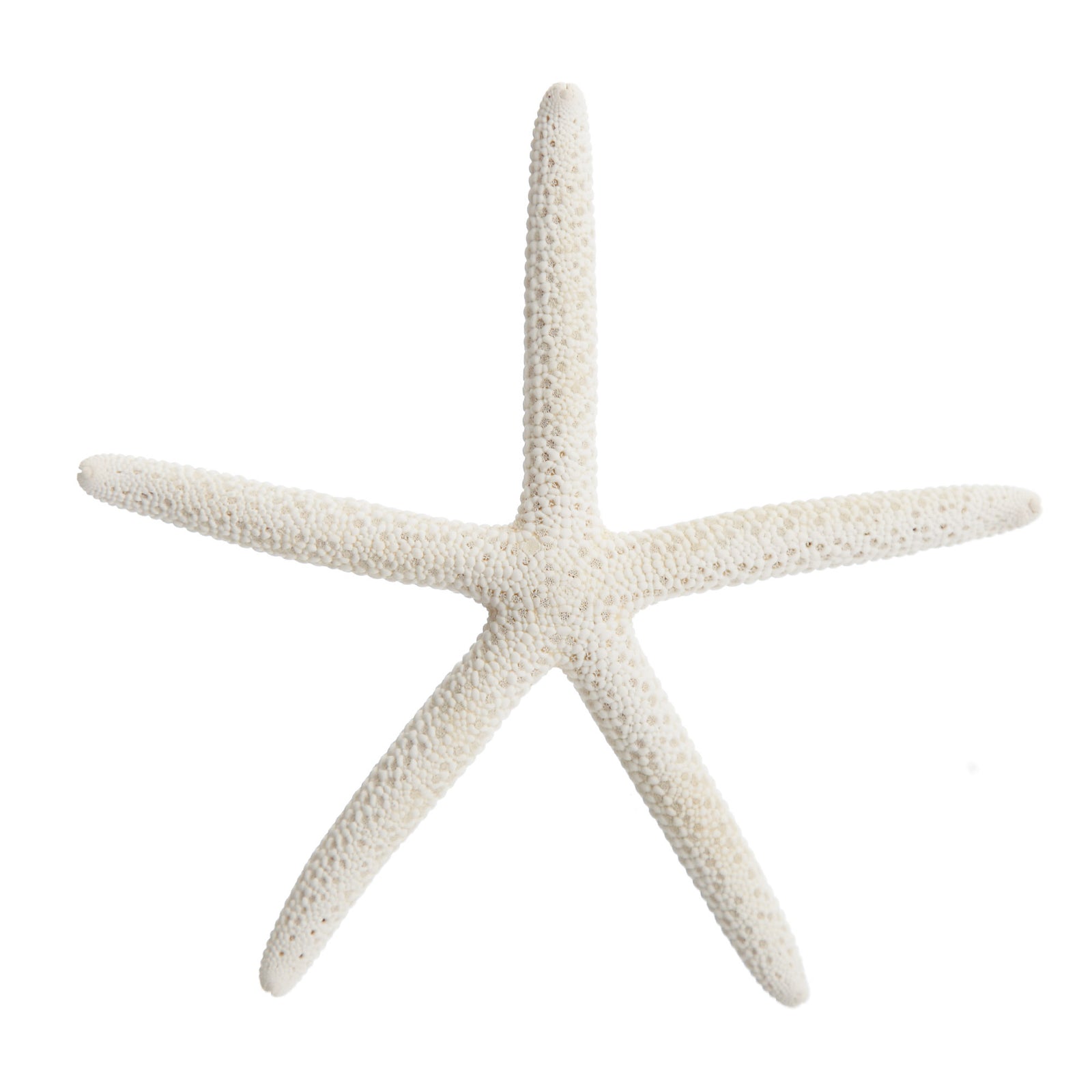 Finger Starfish White Small