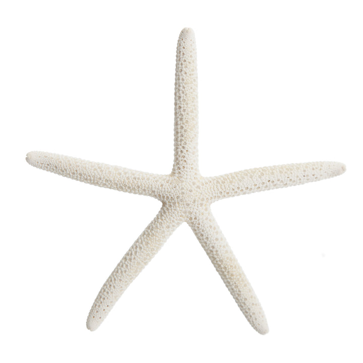 Finger Starfish White Small