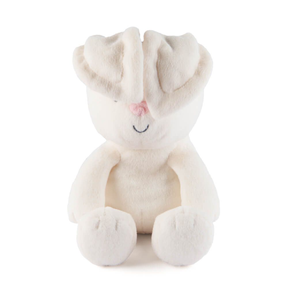 Flappy and Flora Handheld Peek-A-Boo Plush 