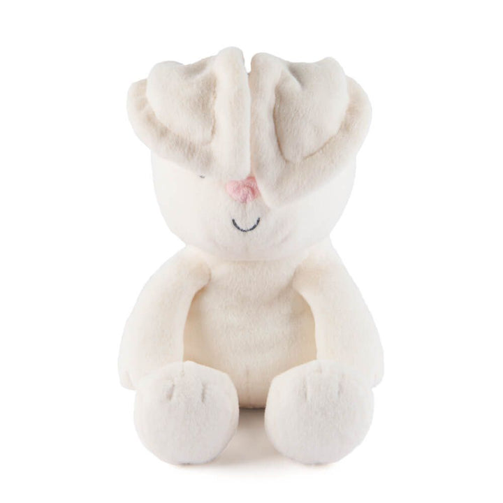 Flappy and Flora Handheld Peek-A-Boo Plush 