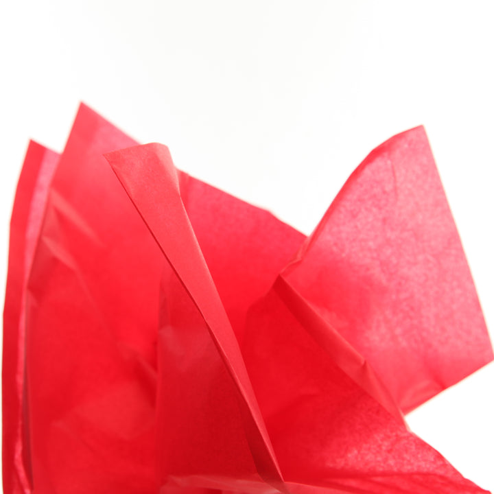 Floral Merry Christmas and Red Tissue Paper Wrap 10 Pack