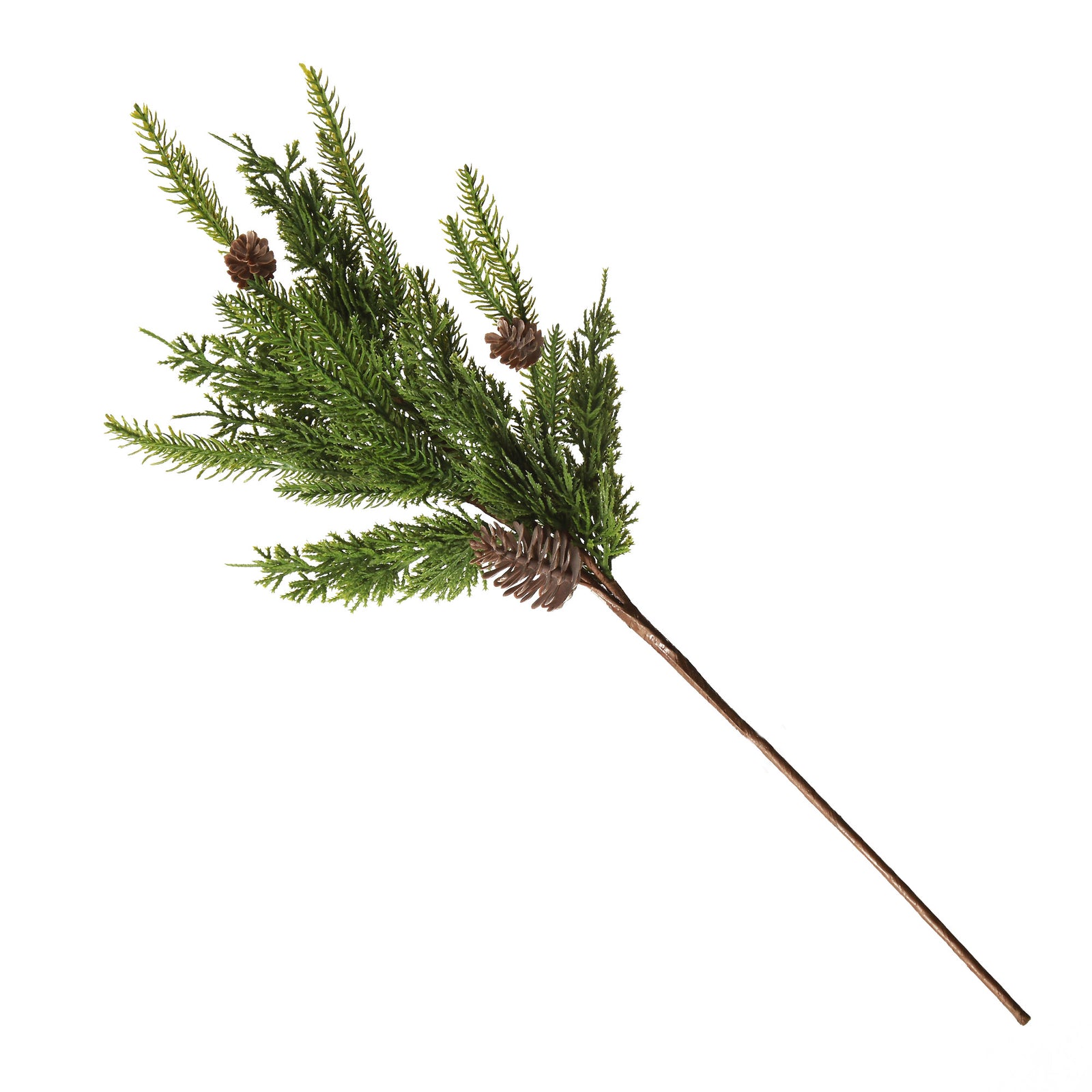 Fraser Pine Branch