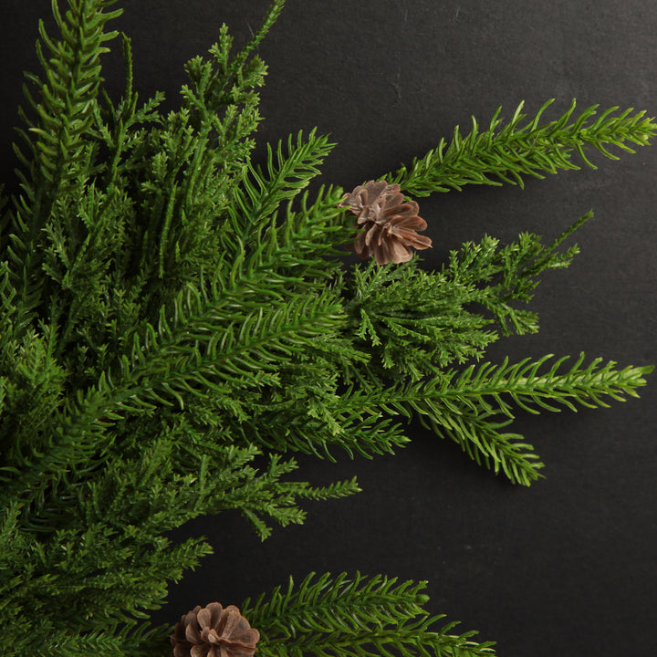 Fraser Pine Branch