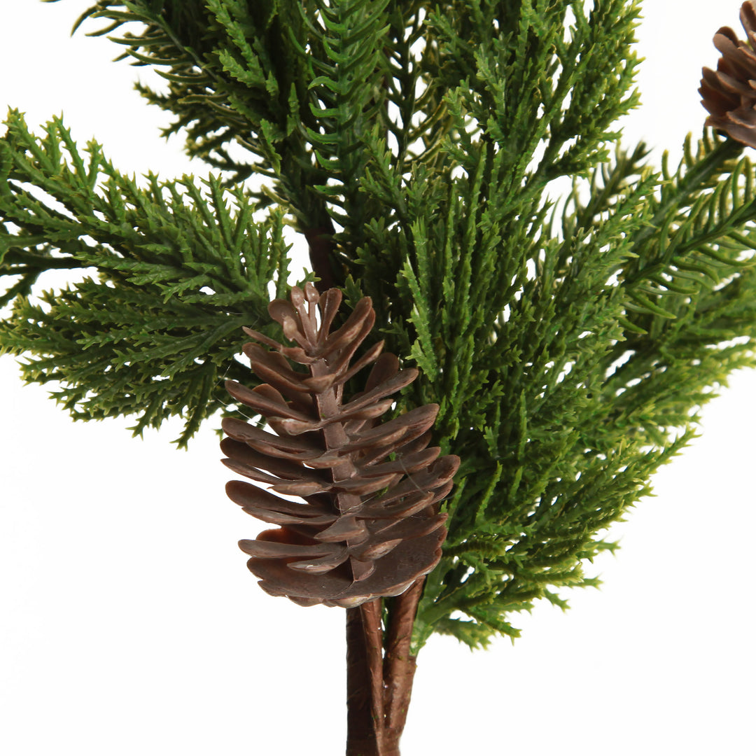 Fraser Pine Branch