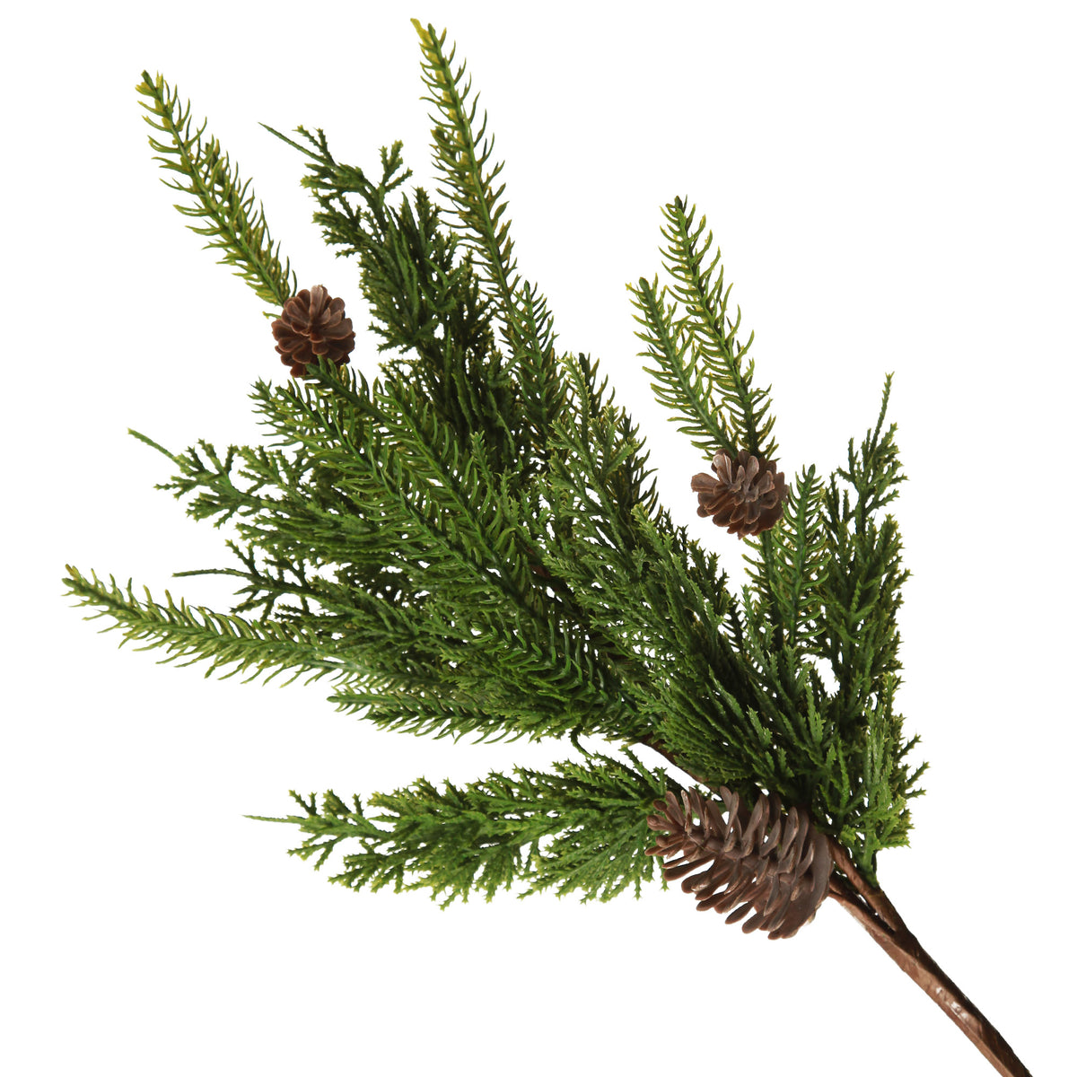Fraser Pine Branch