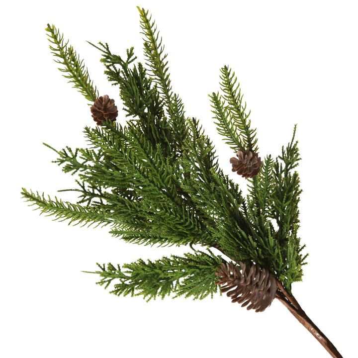 Fraser Pine Branch