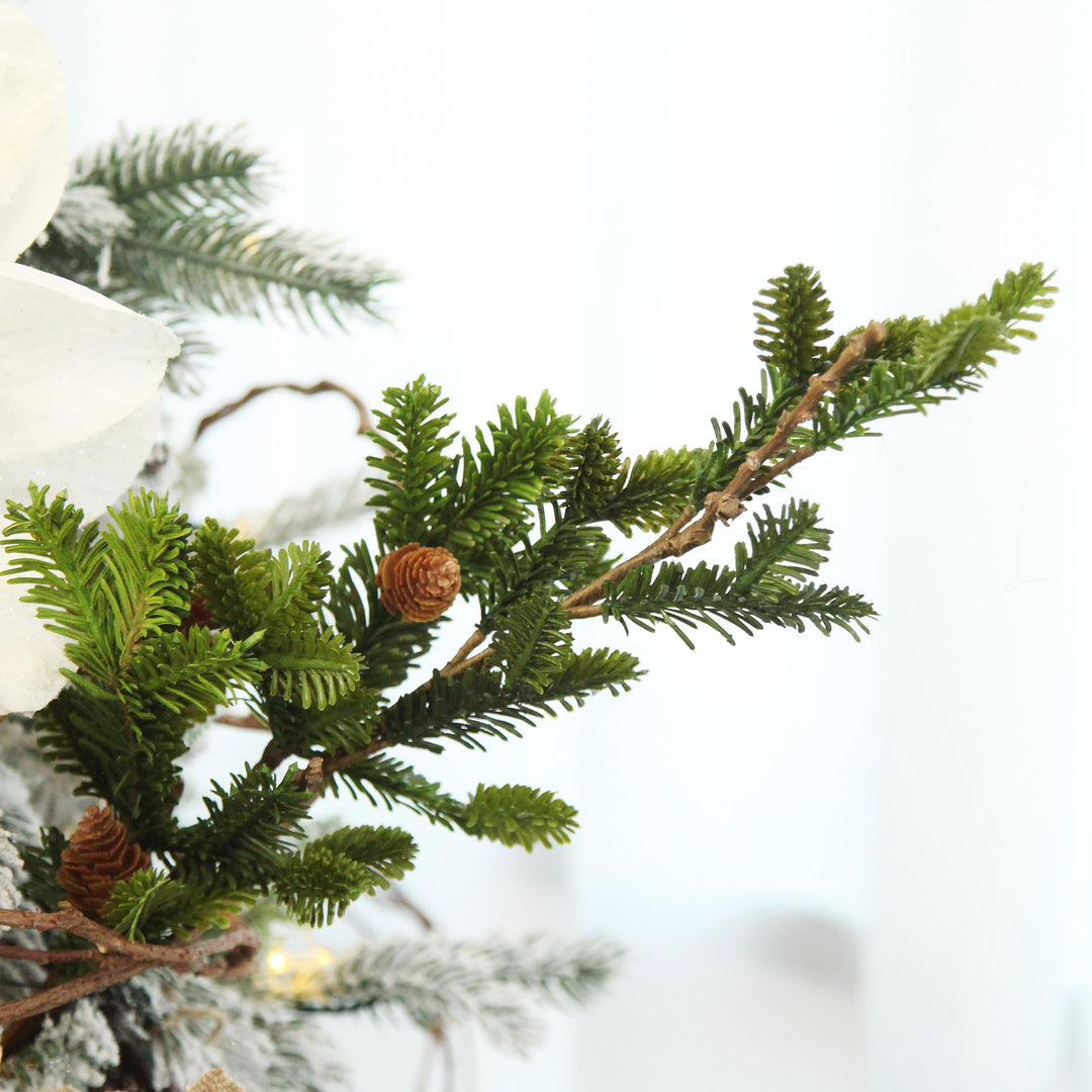 Fraser Pine Branch