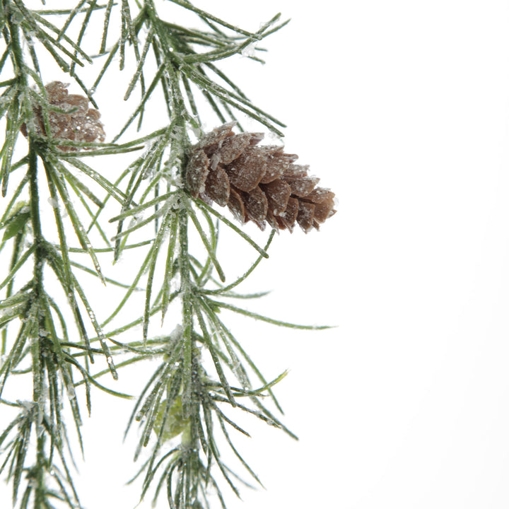 Frosted Pine with Pinecones Hanging Spray