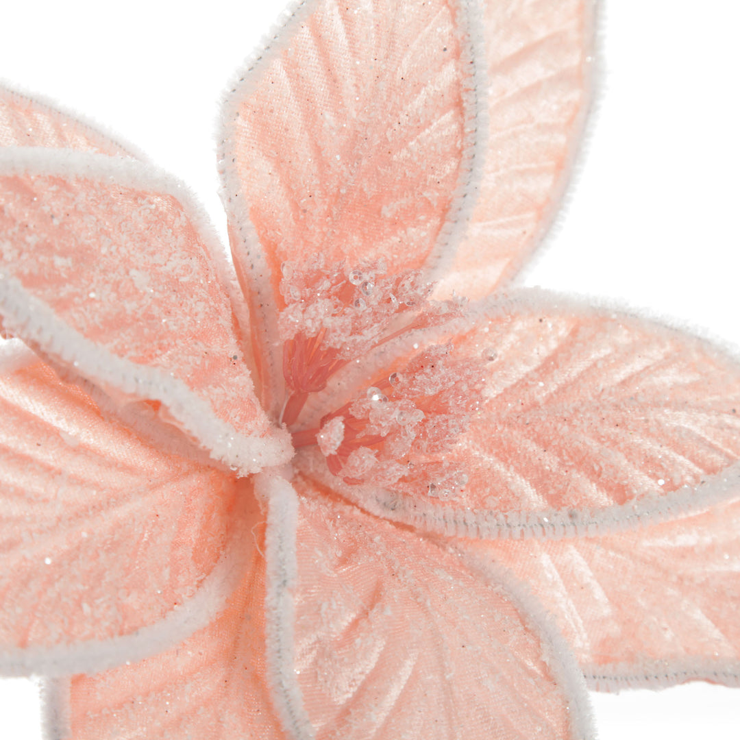 Frosted Pink Flower Clip with White Edge