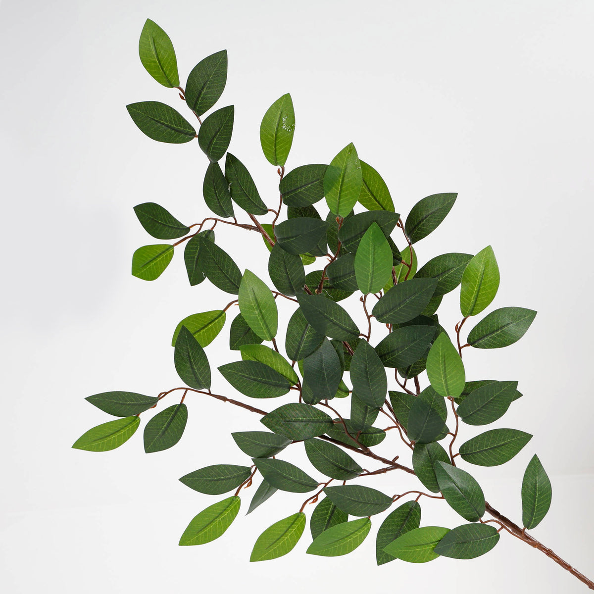 Green Camelia Leaf Spray