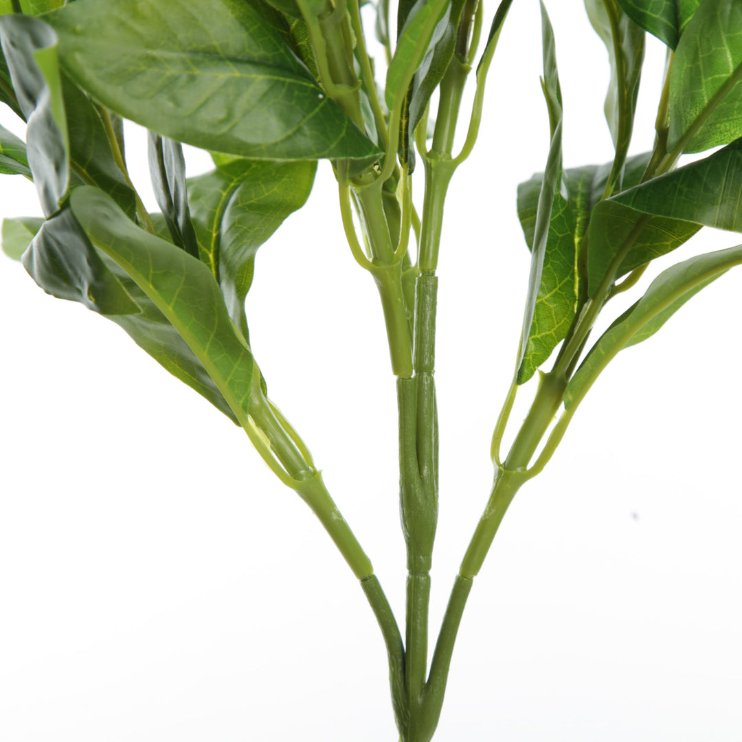 Green Laurel Leaf Spray Stem Detail