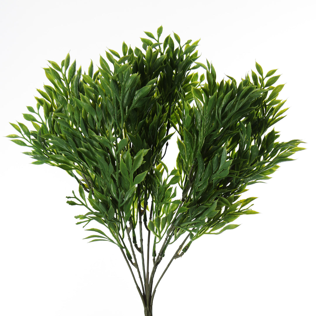 Small Green Leaf Bush Spray