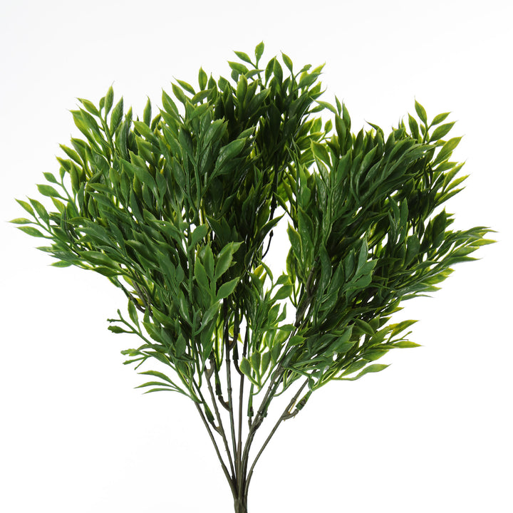 Small Green Leaf Bush Spray