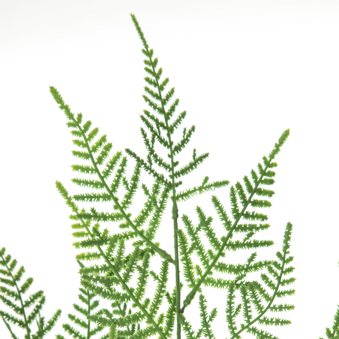Green Leaf Cypress Fern Spray