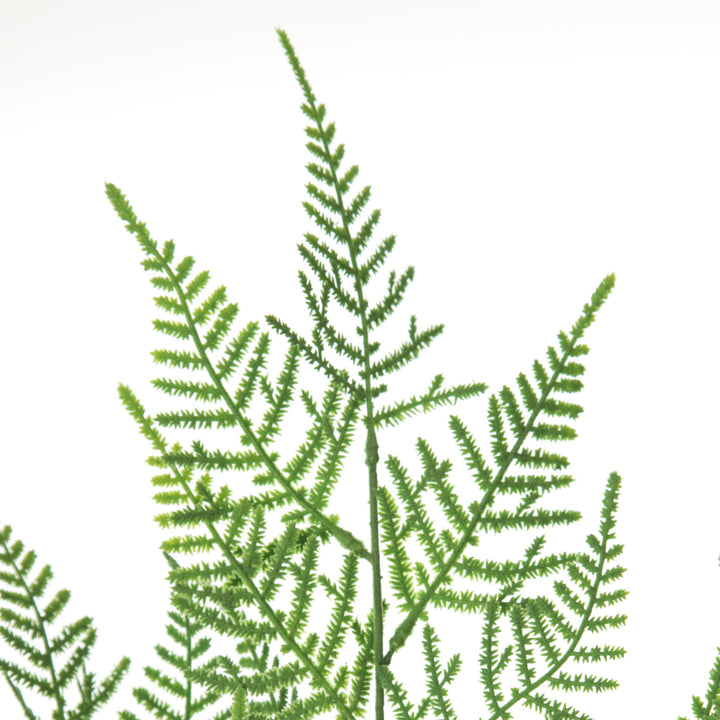 Green Leaf Cypress Fern Spray