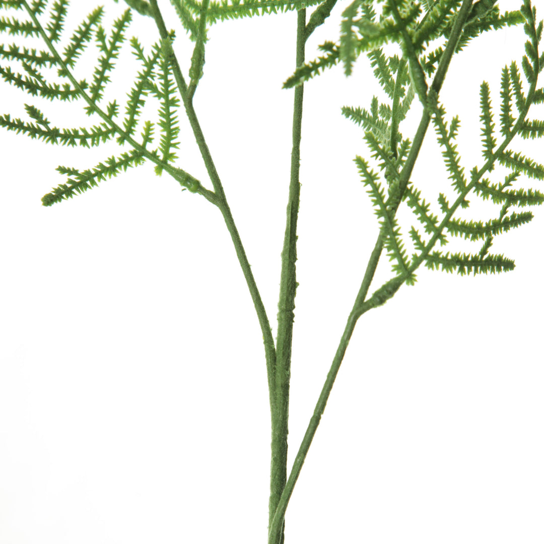 Green Leaf Cypress Fern Spray