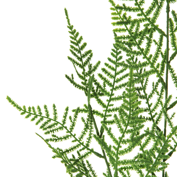 Green Leaf Cypress Fern Spray