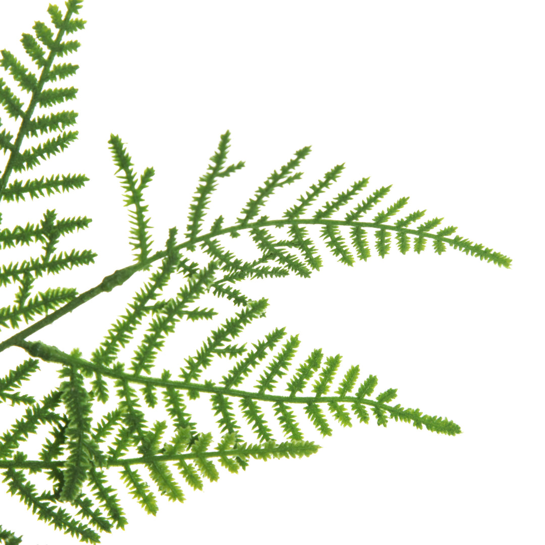 Green Leaf Cypress Fern Spray