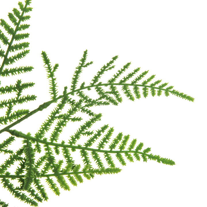Green Leaf Cypress Fern Spray