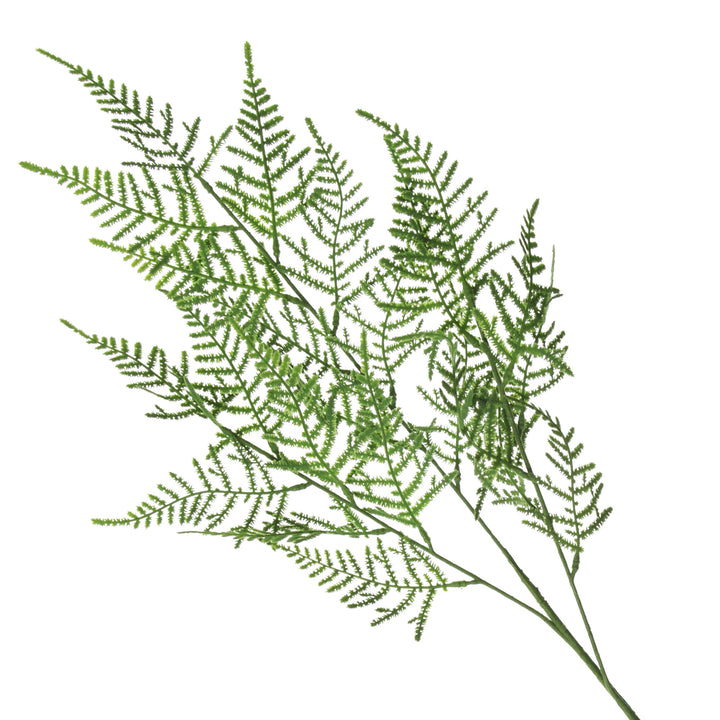 Green Leaf Cypress Fern Spray