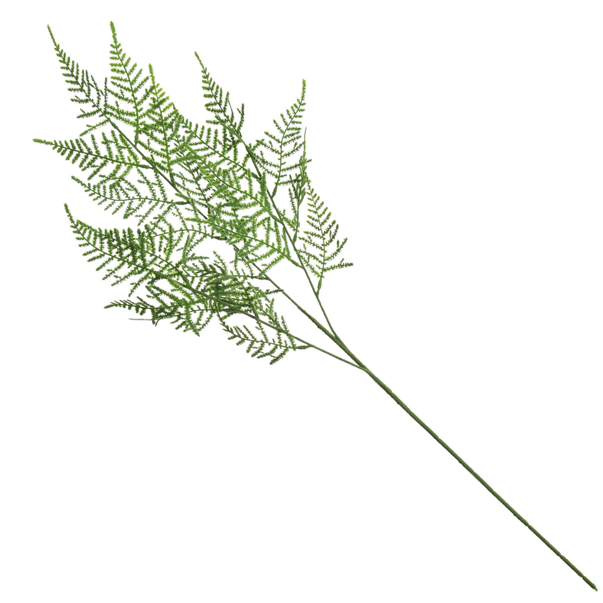 Green Leaf Cypress Fern Spray