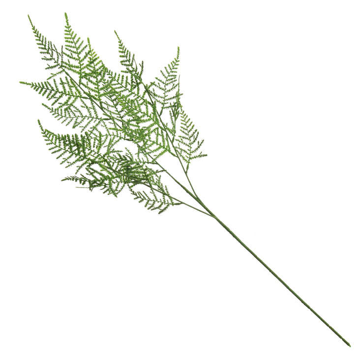 Green Leaf Cypress Fern Spray