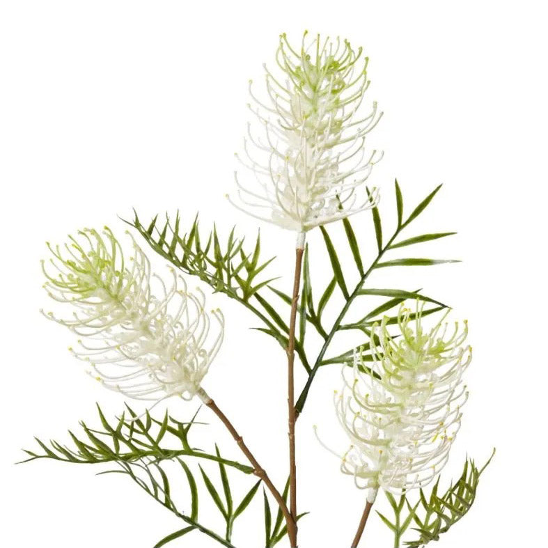 Grevillea Spray - White (83cm)