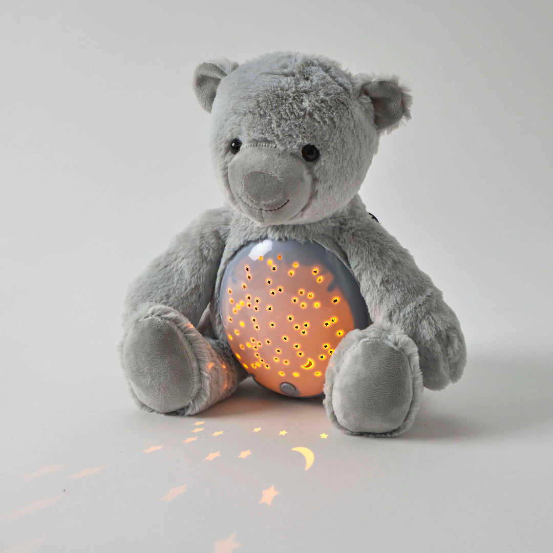 Blue Bear Plush Night Light