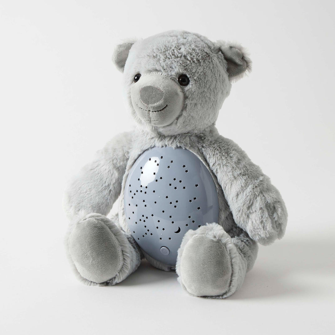 Blue Bear Plush Night Light