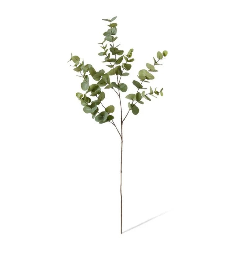 Luxury Eucalyptus Dollar Gum Spray