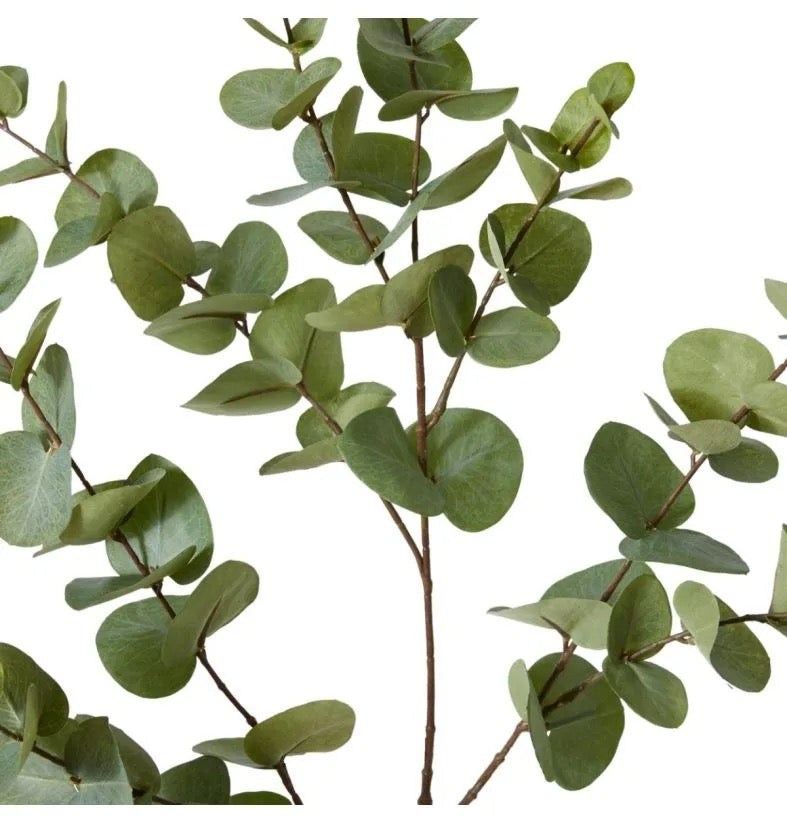 Luxury Eucalyptus Dollar Gum Spray